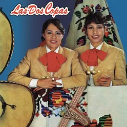 Los Purépechas