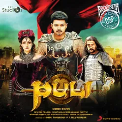 Puli