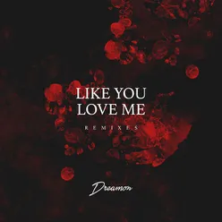 Like You Love Me (WNDR  Remix)