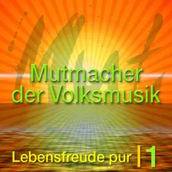 Die Mutmacher der Volksmusik, Vol. 1