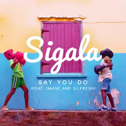 Say You Do Blinkie vs Sigala Remix