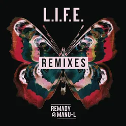 L.I.F.E.-I.GOT.U Remix Radio Edit