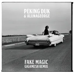 Fake Magic-Gigamesh Remix