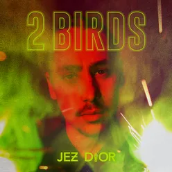 2 Birds