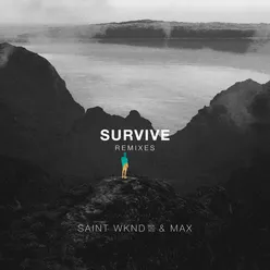 Survive (Famba Remix)