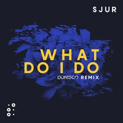 What Do I Do-Dunisco Remix