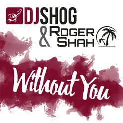 Without You (Lokee & Sway Gray Remix Edit)