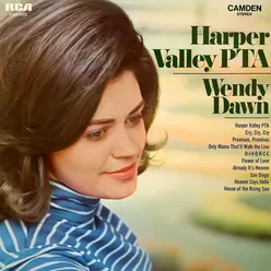 Harper Valley PTA