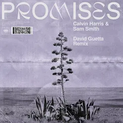 Promises-David Guetta Remix