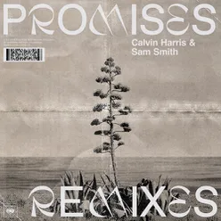 Promises (Sonny Fodera Remix)