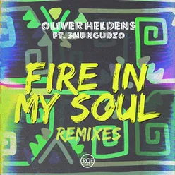 Fire In My Soul (Leandro Da Silva Remix)