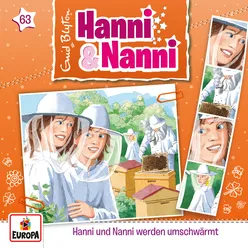 063 - Hanni und Nanni werden umschwärmt Teil 10