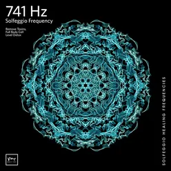 741 Hz Full Body Cell Level Detox