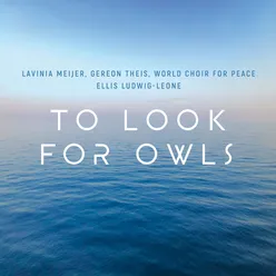 To Look for Owls