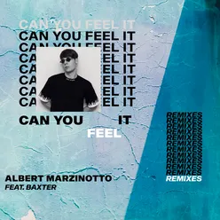 Can You Feel It (The Remixes)