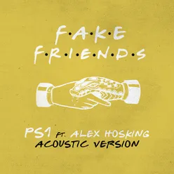 Fake Friends-Acoustic