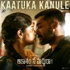 Kaatuka Kanule