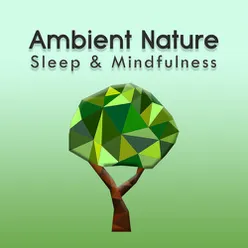 Ambient Nature Sleep Sounds, Pt. 2