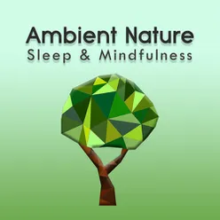 Ambient Nature Sleep Sounds, Pt. 6