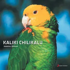 Kaliki Chilukalu