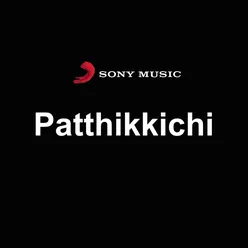 Patthikkichi