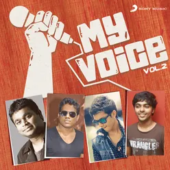 My Voice, Vol. 2