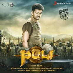 Puli