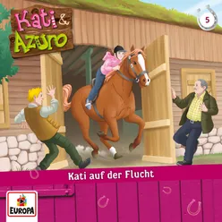 05 - Kati auf der Flucht (Teil 03)