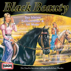 04/Black Beauty im Moor