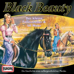 04 - Black Beauty im Moor Teil 16