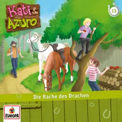 13/Die Rache des Drachen