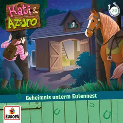 020 - Geheimnis unterm Eulennest-Teil 01