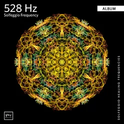 528 Hz Whole Body Regeneration