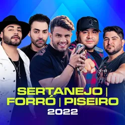 Sertanejo - Forró - Piseiro 2022
