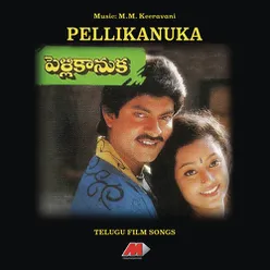 Pelli kaanuka