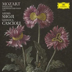 Mozart: Violin Sonata in E Minor, K. 304: II. Tempo di minuetto