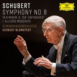 Schubert: Symphony No. 8 in B Minor, D. 759 "Unfinished": I. Allegro moderato