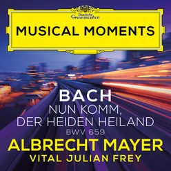 J.S. Bach: Nun komm, der Heiden Heiland, BWV 659 (Adapt. Frey for Oboe and Harpsichord) Musical Moments