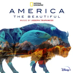 America the BeautifulOriginal Soundtrack