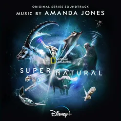 Super/NaturalOriginal Series Soundtrack