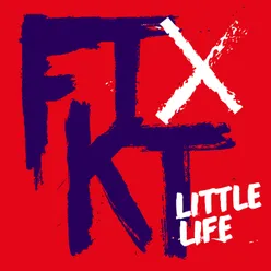 Little Life