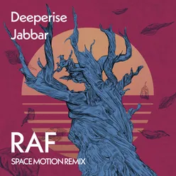 RafSpace Motion Remix