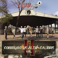 Corridos De Alto CalibreVol. II