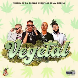 Vegetal