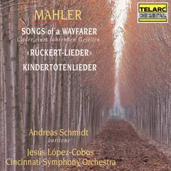 Mahler: Lieder eines fahrenden Gesellen: IV. Die zwei blauen Augen