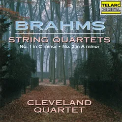 Brahms: String Quartet No. 1 in C Minor, Op. 51 No. 1: IV. Allegro