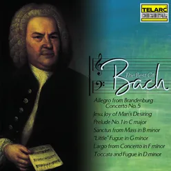 J.S. Bach: Cantata, BWV 147: X. Choral "Jesu, Joy of Man's Desiring" (Arr. Y. Kondonassis)