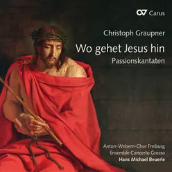 Graupner: Wo gehet Jesus hin, GWV 1119/39 - II. Ach, saurer Gang