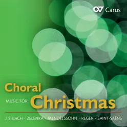 Distler: Die Weihnachtsgeschichte, Op. 10 - IV. Choral "Das Röslein das ich meine"