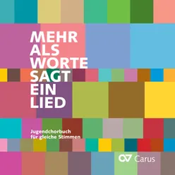 Mehr als Worte sagt ein Lied Begleit-CD